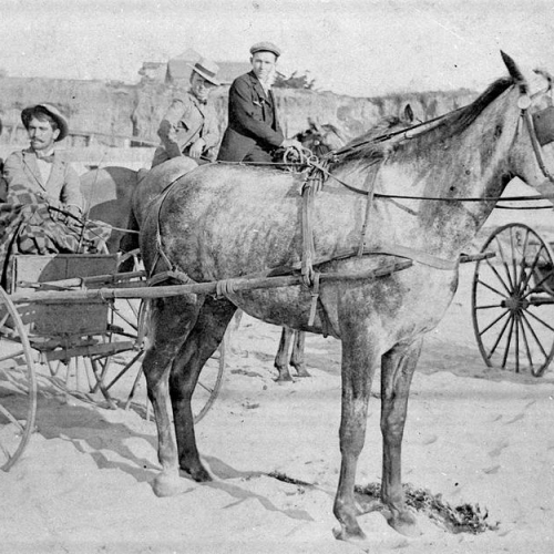 Oceanside Historical Society - Men in buggies and on horseback